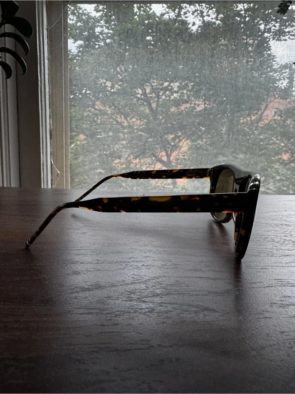 Thom Browne Tortoiseshell Sunglasses with Dark Brown Lenses